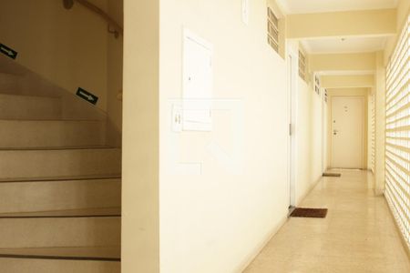Apartamento para alugar com 66m², 2 quartos e 1 vagaCorredor andar