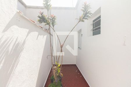 Quintal - Quarto 1 de apartamento para alugar com 2 quartos, 70m² em Pari, São Paulo