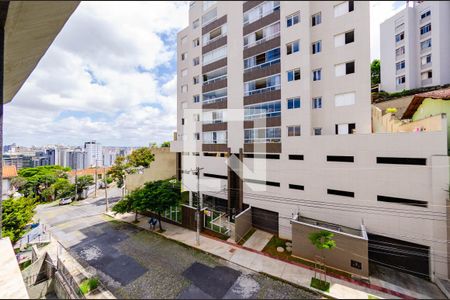 Vista de apartamento para alugar com 3 quartos, 123m² em Serra, Belo Horizonte
