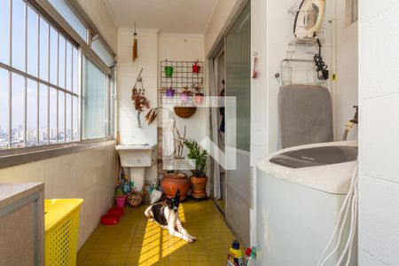 Área de Serviço de apartamento para alugar com 3 quartos, 90m² em Vila Monumento, São Paulo