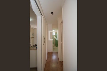 Corredor de apartamento para alugar com 2 quartos, 56m² em Jardim Iris, São Paulo