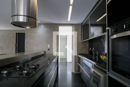 Cozinha  de apartamento para alugar com 2 quartos, 250m² em Lourdes, Belo Horizonte