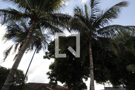 Casa para alugar com 139m², 2 quartos e 4 vagasQuintal