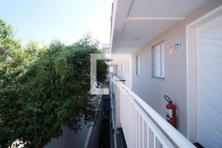Entrada  de apartamento para alugar com 2 quartos, 44m² em Vila Matilde, São Paulo