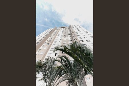 Condomínio - Fachada  de apartamento para alugar com 2 quartos, 45m² em Maranhão, São Paulo