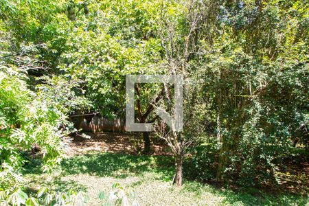 Casa à venda com 600m², 3 quartos e 3 vagasFUNDOS ÁREA VERDE