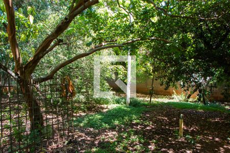 Casa à venda com 600m², 3 quartos e 3 vagasFUNDOS ÁREA VERDE