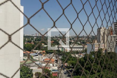 Vista da Sala de apartamento para alugar com 3 quartos, 167m² em Higienópolis, São Paulo