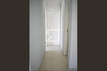 Corredor de apartamento para alugar com 2 quartos, 45m² em Campo Grande, Rio de Janeiro