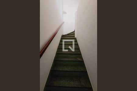 Escada de casa para alugar com 3 quartos, 168m² em Casa Branca, Santo André