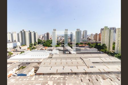 Apartamento à venda com 64m², 2 quartos e 1 vagaCozinha e Área de Serviço - Vista