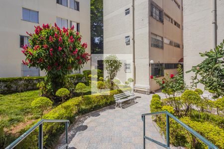 Apartamento para alugar com 66m², 3 quartos e sem vagaEntrada