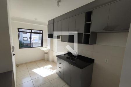 Cozinha de apartamento para alugar com 1 quarto, 50m² em Recanto das Palmeiras, Ribeirão Preto