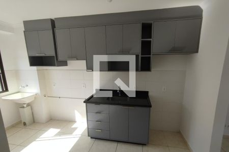 Cozinha de apartamento para alugar com 1 quarto, 50m² em Recanto das Palmeiras, Ribeirão Preto