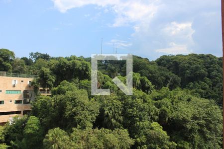 Vista de apartamento para alugar com 1 quarto, 45m² em Centro, São Vicente