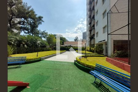 Apartamento para alugar com 77m², 3 quartos e 1 vagaJardim