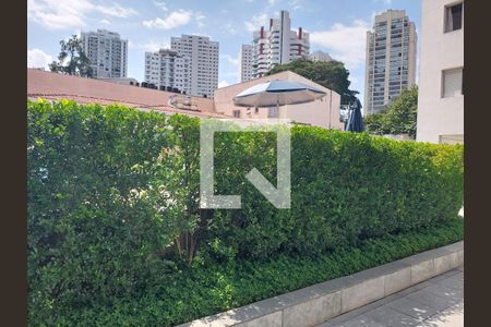 Apartamento para alugar com 77m², 3 quartos e 1 vagaArea da piscina