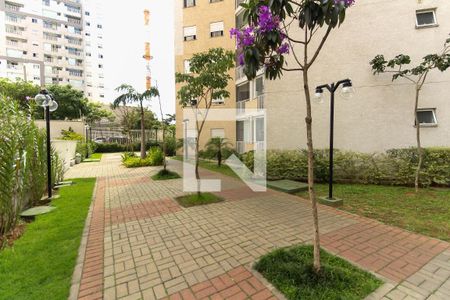 Área Comum de apartamento para alugar com 2 quartos, 67m² em Belenzinho, São Paulo