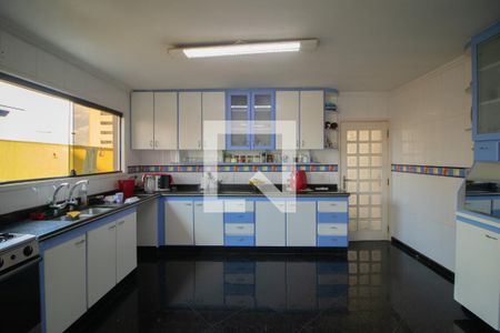 Casa à venda com 341m², 3 quartos e 5 vagasCozinha - Armários