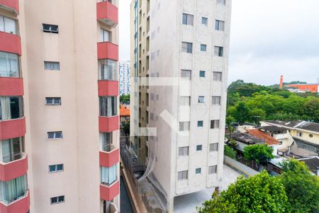 Vista do Quarto 1 de apartamento para alugar com 2 quartos, 65m² em Vila Monte Alegre, São Paulo