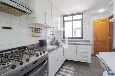 Apartamento para alugar com 460m², 5 quartos e 4 vagas Apartamento para alugar com 460m², 5 quartos e 4 vagasCozinha