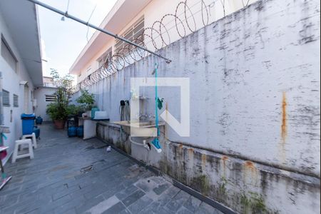 Quintal de casa à venda com 5 quartos, 304m² em Vila Santo Estefano, São Paulo