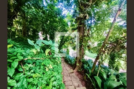 Casa à venda com 1500m², 6 quartos e 8 vagasJardim