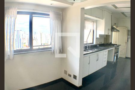 Apartamento à venda com 270m², 4 quartos e 4 vagasCozinha
