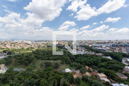 Vista do Quarto 1 de apartamento para alugar com 2 quartos, 44m² em Juliana, Belo Horizonte