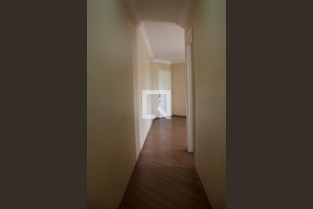 Corredor de apartamento para alugar com 2 quartos, 58m² em Jardim Morro Verde, São Paulo