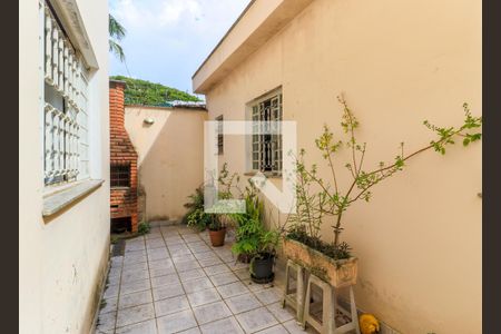 Casa à venda com 250m², 3 quartos e 4 vagas Casa à venda com 250m², 3 quartos e 4 vagasQuintal/Churrasqueira
