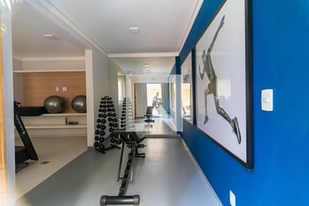 Apartamento para alugar com 36m², 2 quartos e sem vaga Apartamento para alugar com 36m², 2 quartos e sem vagaÁrea comum - Academia