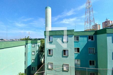 Vista do Quarto 1  de apartamento para alugar com 3 quartos, 65m² em Vila Manoel Ferreira, Campinas