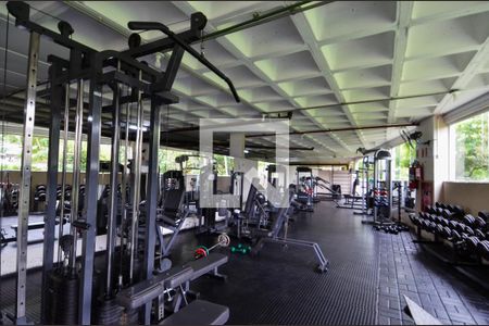 Apartamento à venda com 92m², 3 quartos e 1 vagaAcademia