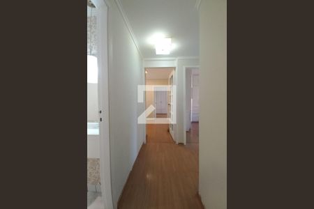 Corredor de apartamento para alugar com 3 quartos, 100m² em Parque Prado, Campinas