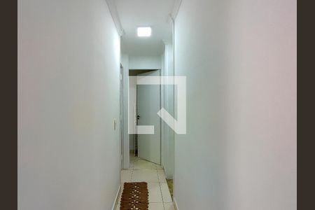 Corredor de apartamento para alugar com 2 quartos, 46m² em São Cristóvão, Rio de Janeiro