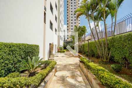 Apartamento à venda com 252m², 3 quartos e 2 vagas Apartamento à venda com 252m², 3 quartos e 2 vagasÁrea externa