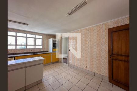 Apartamento para alugar com 196m², 4 quartos e 2 vagasCozinha