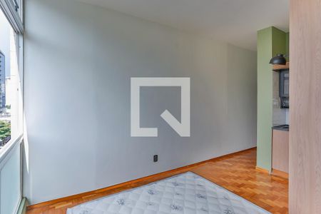 Quarto de apartamento para alugar com 1 quarto, 30m² em Santo Agostinho, Belo Horizonte