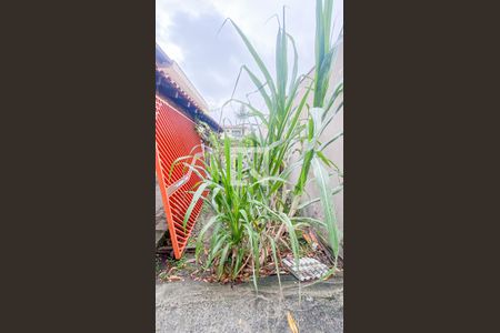 Casa à venda com 400m², 3 quartos e 2 vagas Casa à venda com 400m², 3 quartos e 2 vagasQuintal - Garagem