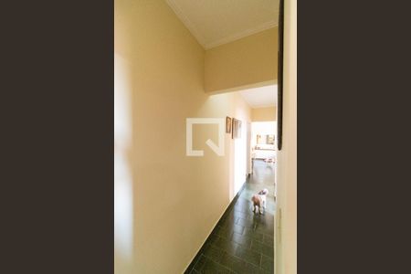 Apartamento à venda com 95m², 3 quartos e 1 vaga Apartamento à venda com 95m², 3 quartos e 1 vagaCorredor