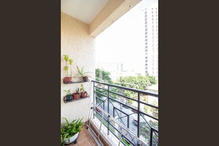 Varanda da Sala de apartamento à venda com 3 quartos, 63m² em Ipiranga, São Paulo