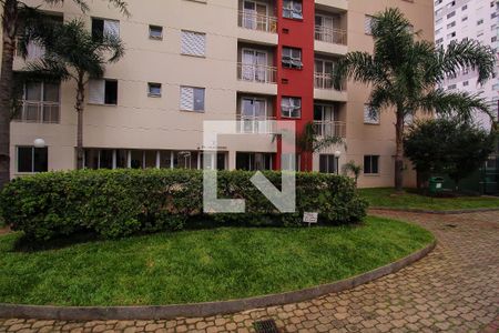 Apartamento para alugar com 50m², 2 quartos e 1 vaga Apartamento para alugar com 50m², 2 quartos e 1 vagaÁrea externa