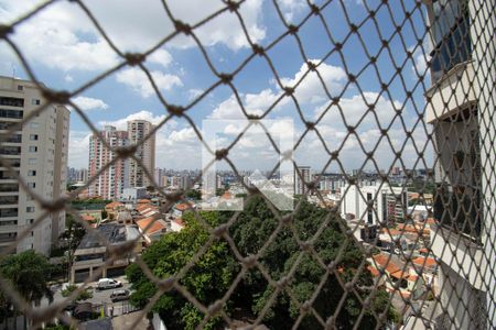 Varanda da Sala - Vista  de apartamento à venda com 3 quartos, 80m² em Vila Dom Pedro I, São Paulo