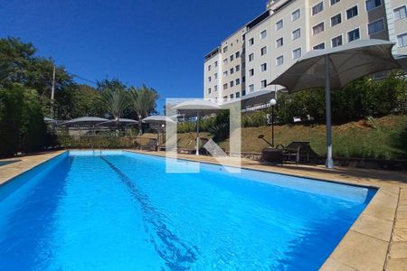 Área comum - Piscina de apartamento para alugar com 2 quartos, 73m² em Jardim Nova Europa, Campinas