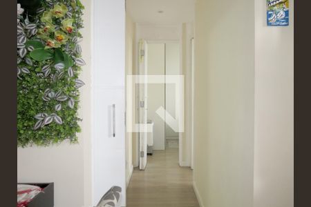 Sala - Corredor de apartamento para alugar com 2 quartos, 45m² em Jardim Íris, São Paulo