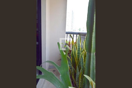 Apartamento à venda com 63m², 1 quarto e 1 vagaVaranda