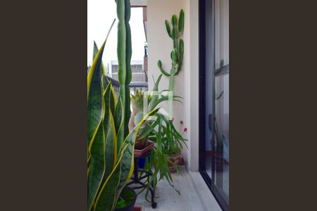 Apartamento à venda com 63m², 1 quarto e 1 vagaVaranda