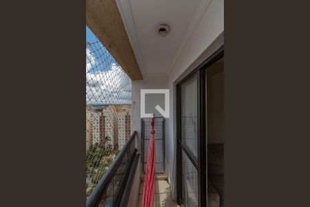 Varanda Sala de Estar/Jantar de apartamento para alugar com 3 quartos, 70m² em Chácara Primavera, Campinas