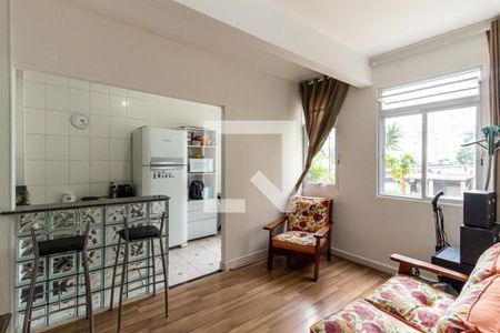 Sala de apartamento para alugar com 1 quarto, 46m² em Campos Elíseos, São Paulo